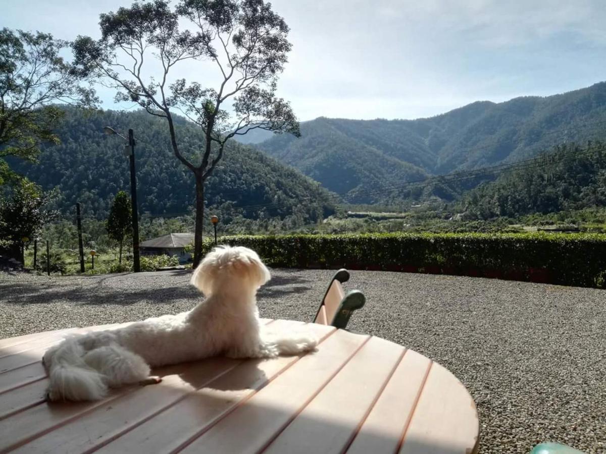 Song Lin Homestay Dongshan  Exteriér fotografie